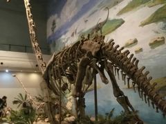 -自贡恐龙博物馆