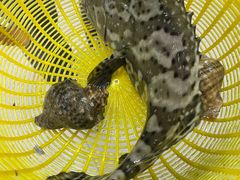 -鑫鸿达·海鲜闽菜热炒小馆(中山路店)