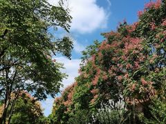 -同济大学(嘉定校区)