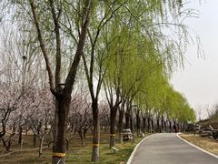 -河北省园博园