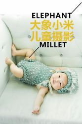 -大象小米摄影