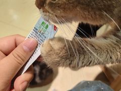 -藏猫猫咖啡主题馆(中央大道店)