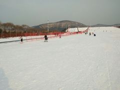 -济南国际园博园