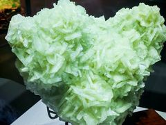 -湖南省地质博物馆