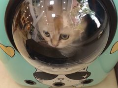 -宠颐生汉谟拉比宠物医院