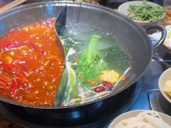 -阳阳老火锅(小南门店)