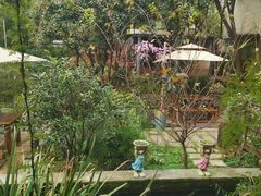 -谷咖啡·鲜花绿植花园餐厅