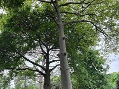 -东莞植物园