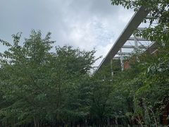 -南京外国语学校(仙林分校西区)