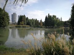 -白塘生态植物园