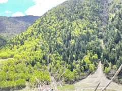 -四姑娘山阿巴郎·藏式花园餐厅