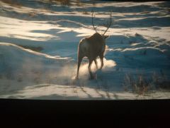 -自由人影城(大庆唐人中心店)