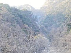 -泰山风景名胜区