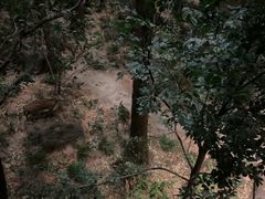 -浙江自然博物院(杭州馆)