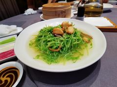 上汤豆苗-金鸭季·北京烤鸭(深业上城店)