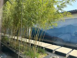 -爱儿美儿童摄影(朝阳公园店)
