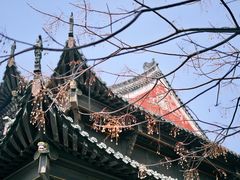 -长春观