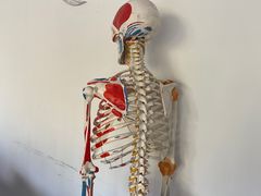 -沁欣堂推拿艾灸