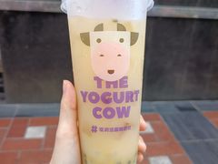 百香果益菌多-一只酸奶牛(大融城店)