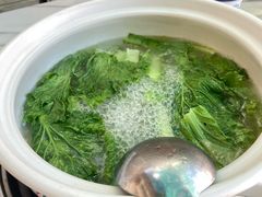 -蘑统田下·野生菌火锅