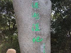 -溱湖国家湿地公园