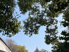 -西园戒幢律寺