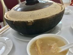 雞煲翅-新陶陶酒家