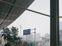 -一棠龙虾•王牌虾球(恒隆广场店)