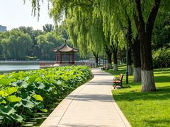 -莲花池公园