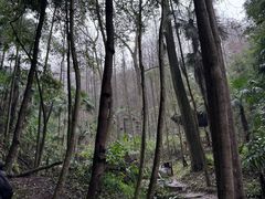 -凤栖山