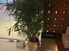 -LANN I 蘭·泰式古法按摩(高岛屋百货店)