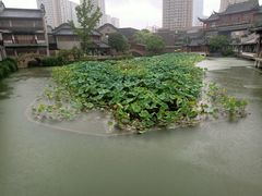 -龙潭水乡