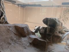 -宁波野生动物园