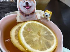 -逗柴咖啡屋·狗咖猫咖宠物桌游