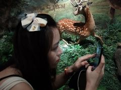 -柳州白莲洞洞穴科学博物馆