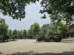 -东方巨龟苑景区