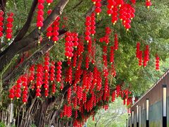 -人民公园(罗湖区)