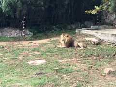 -西霞口神雕山野生动物世界