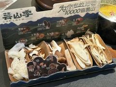 -芸山季·云南山珍菌火锅(南翔印象城MEGA店)