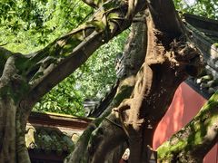 -成都武侯祠博物馆