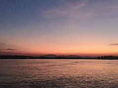 -滨江生态公园