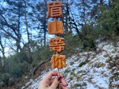 -峨眉山风景名胜区