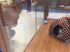 -龟与熊猫宠物公园(南坪店)