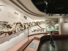 -自贡恐龙博物馆