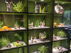 -慢丽江·云南野生菌土鸡锅(西山店)