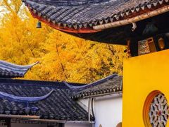 -西园戒幢律寺