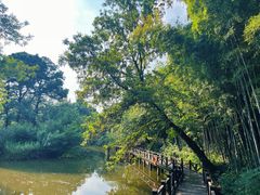 -宝岩生态观光园