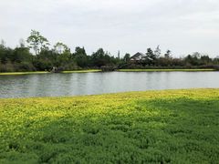 -桤木河湿地公园