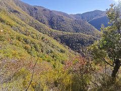 -灵山
