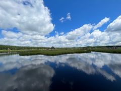 -塞罕坝国家级自然保护区